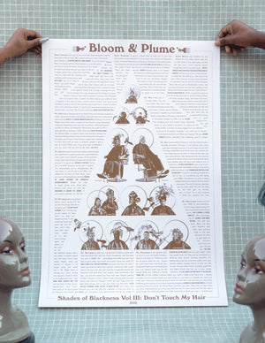 Shades of Blackness Poster